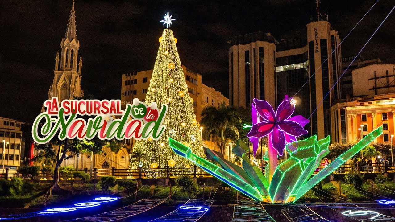 Alumbrado Sucursal de la Navidad 2025🎄✨