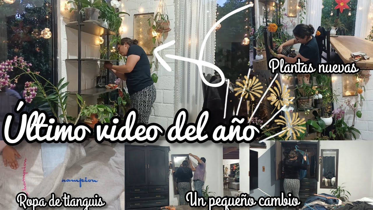 Adiós 2025 🥂🙏🏻 / Orquídeas nuevas 🌸/colocamos el espejo 🪞🪴/ Ropa de tianguis 👕👚