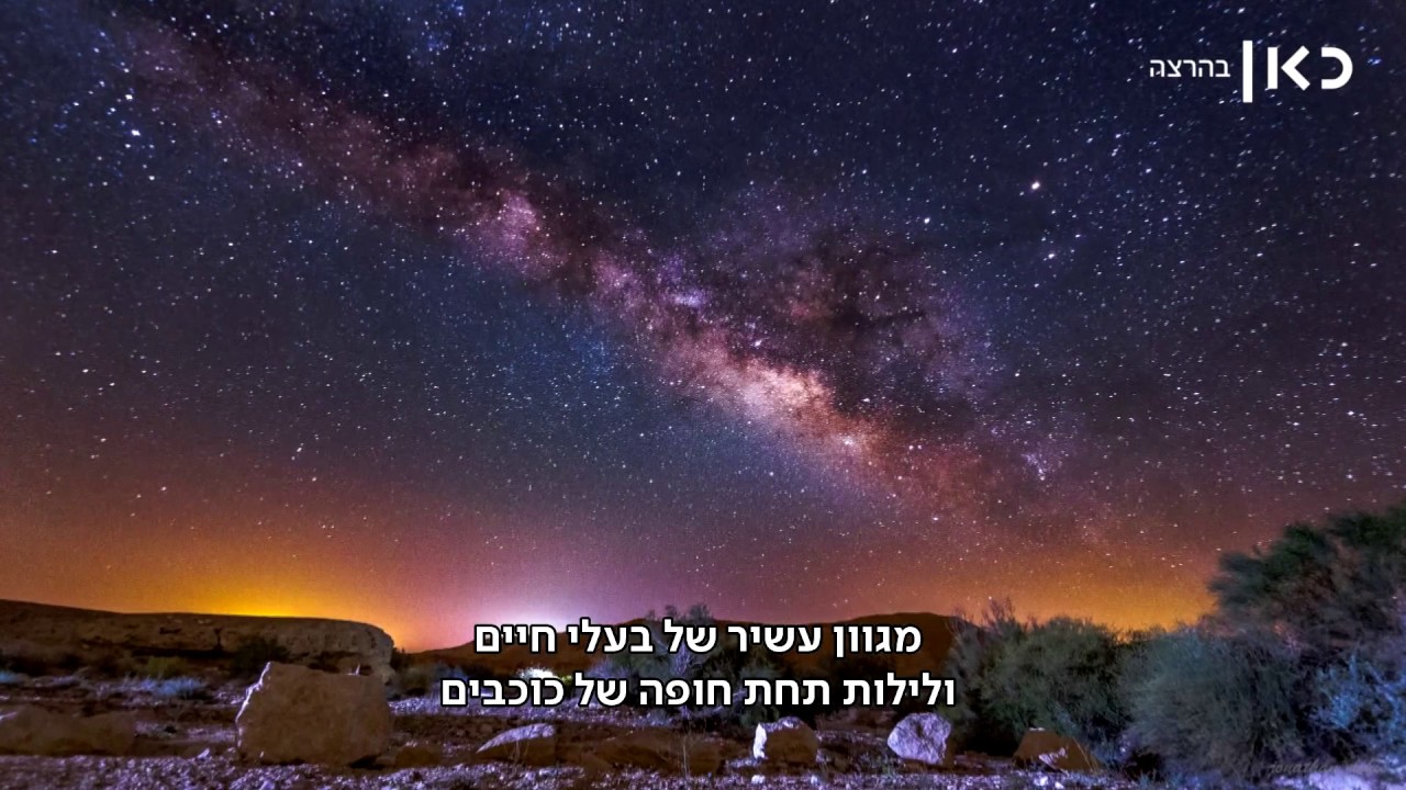 אנשי הלילה של מכתש רמון גאים בהכרה הבינלאומית | מתוך חדשות השבוע 13.10.17