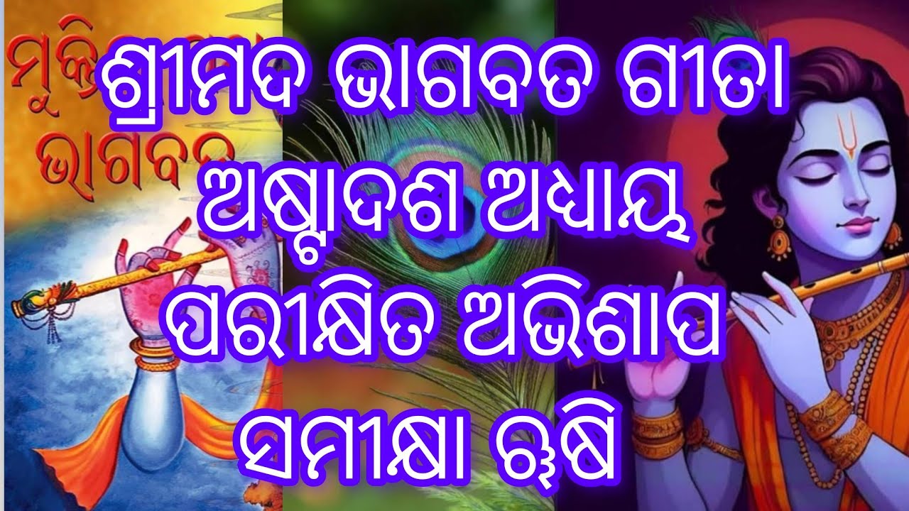 ଭାଗବତ ଗୀତା, ୮ମଅଧ୍ୟାୟ , parikshita nku rishi samiksha nka putra abhishaap