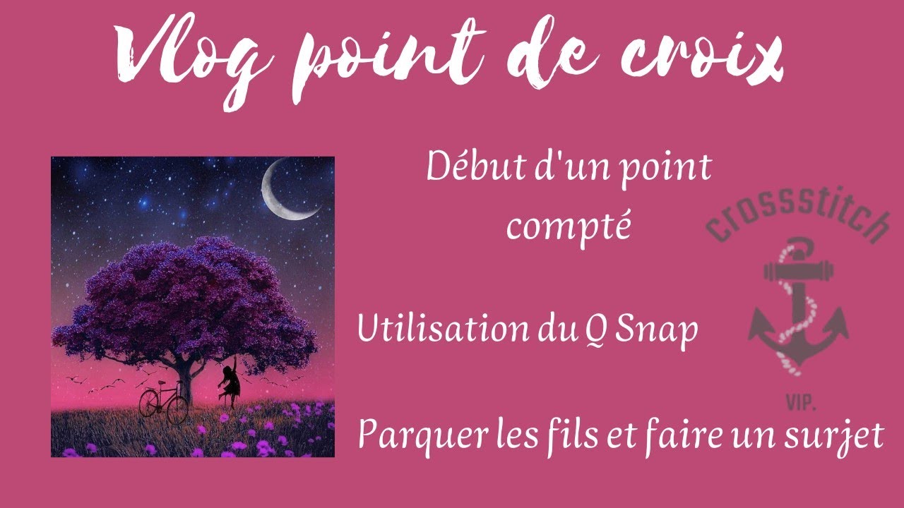 ☀️Vlog point de croix - Point compté, Qsnap, tutos et on papote 😍 #vlog #blablabla #crossstitch #diy