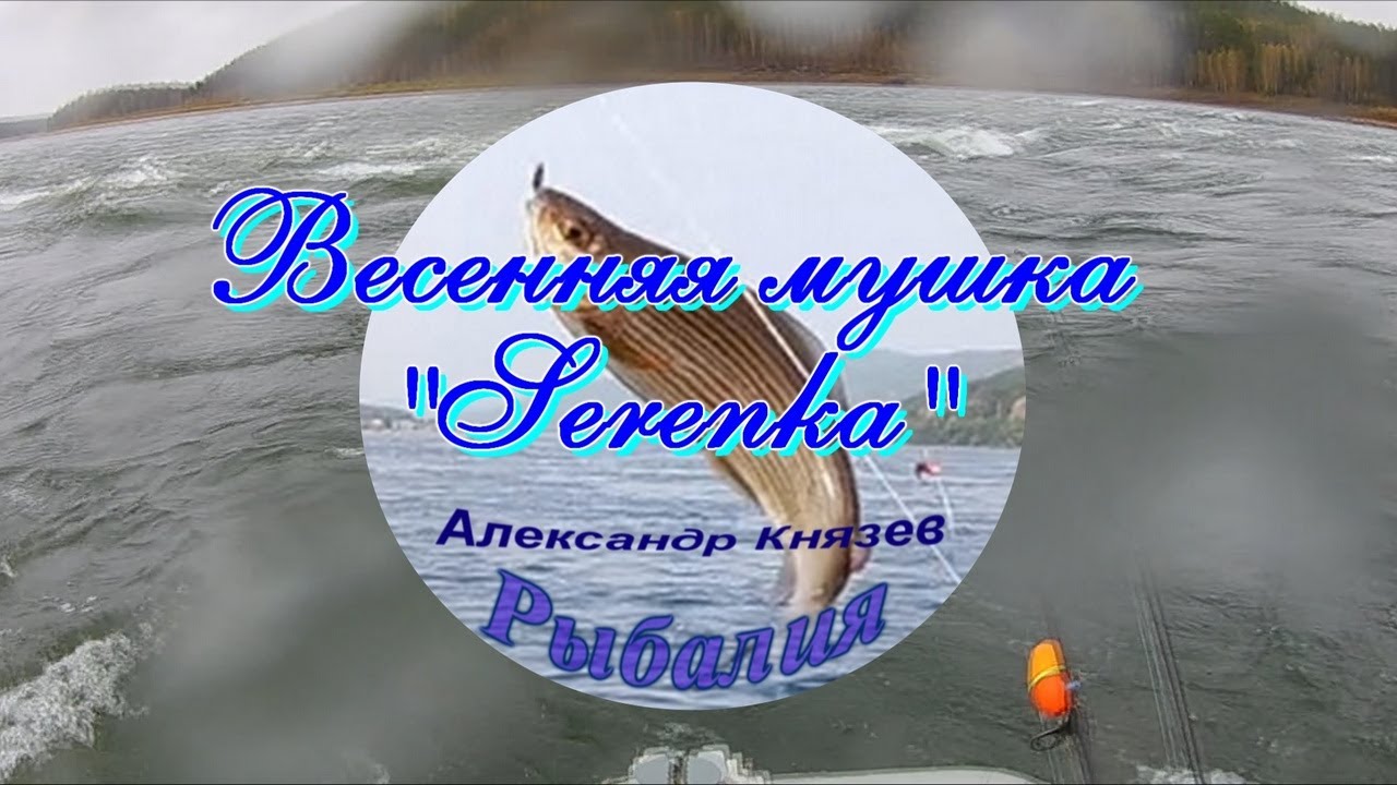 Мушка 
