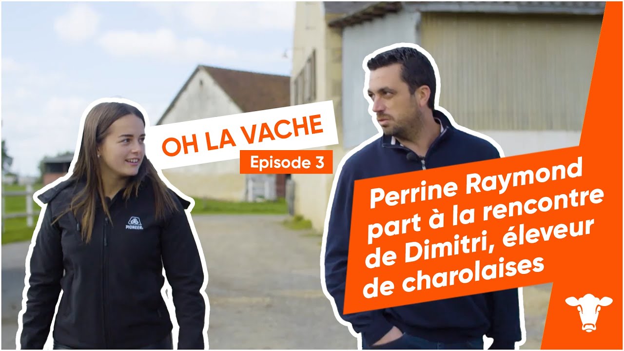 OH LA VACHE épisode 3 : Perrine Raymond part à la rencontre de Dimitri, éleveur de charolaises