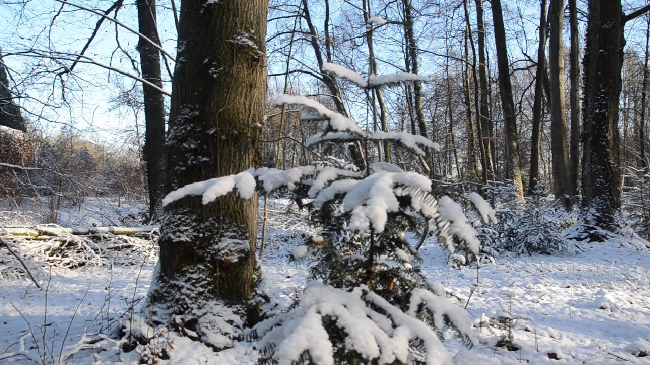 Kerstgroet Jaimy Buunk 2012-2013