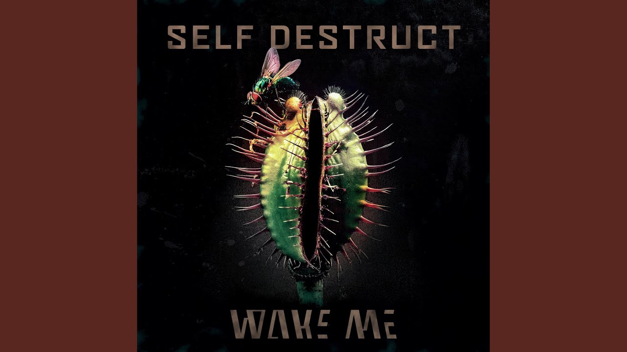 Self Destruct