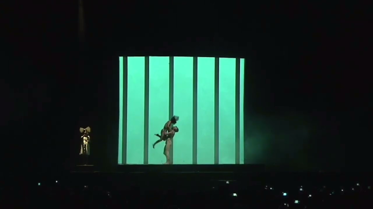 Sia Elastic Heart - Live Fuji Rock Festival 2019 Japon HD