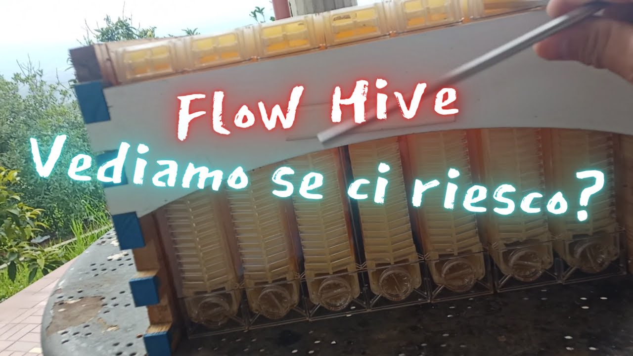 Miele Locale. Flow Hive - Alveare di Flusso. Sfatiamo Un Mito, O Confermiamo Una Legenda?