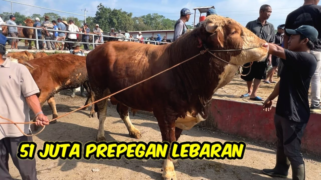 SALAM 60RB❗️SIMENTAL SUPER BARU DATANG LANGSUNG TERJUAL 51 JT 