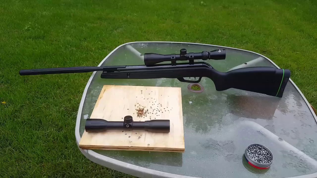 Gamo Raptor whisper 22 review the good and the bad