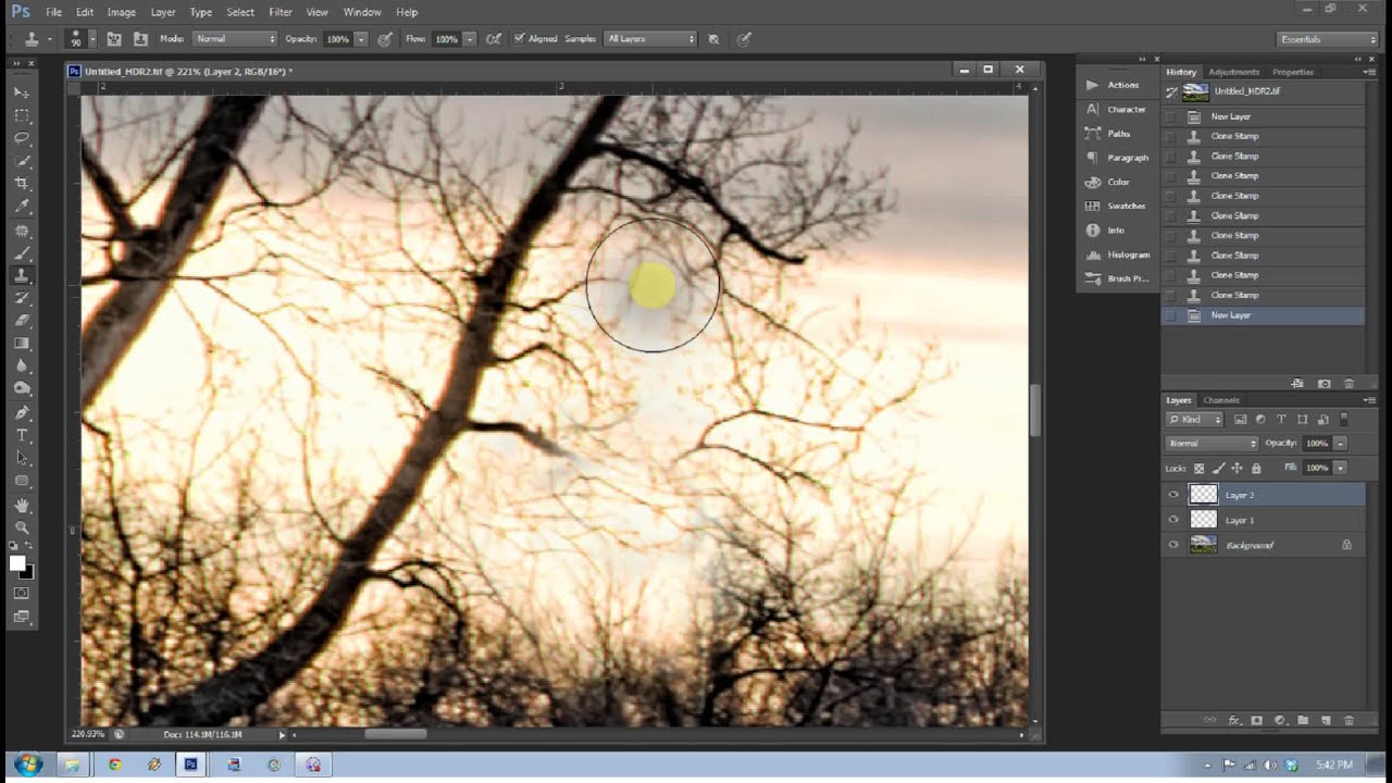 How To Use the Clone Stamp Tool in Photoshop