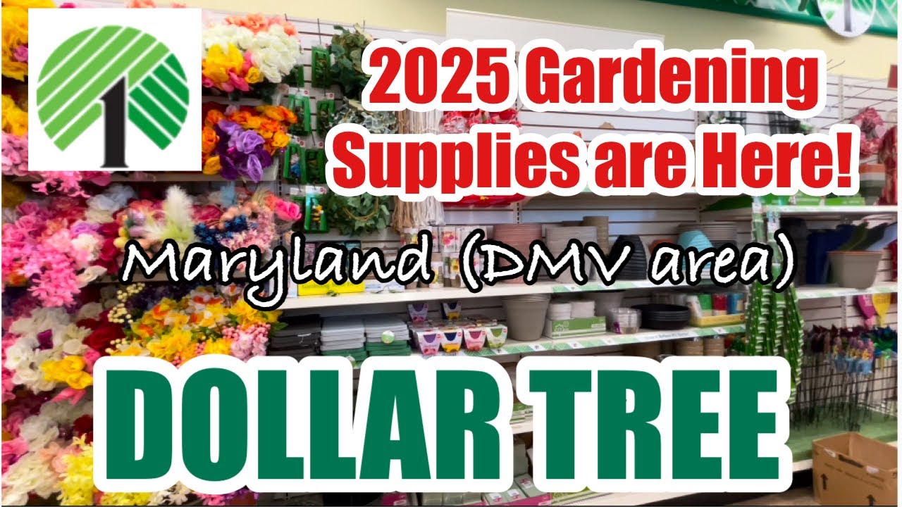 2025 Dollar Tree Gardening Supplies | Maryland (DMV area) #shopwithme #dollartree #gardening