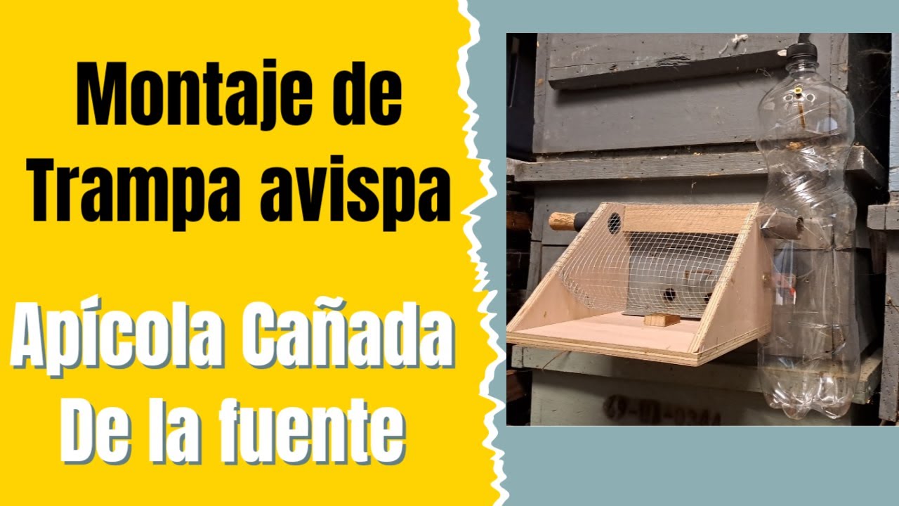 Montaje de Trampa Avispa Asiática