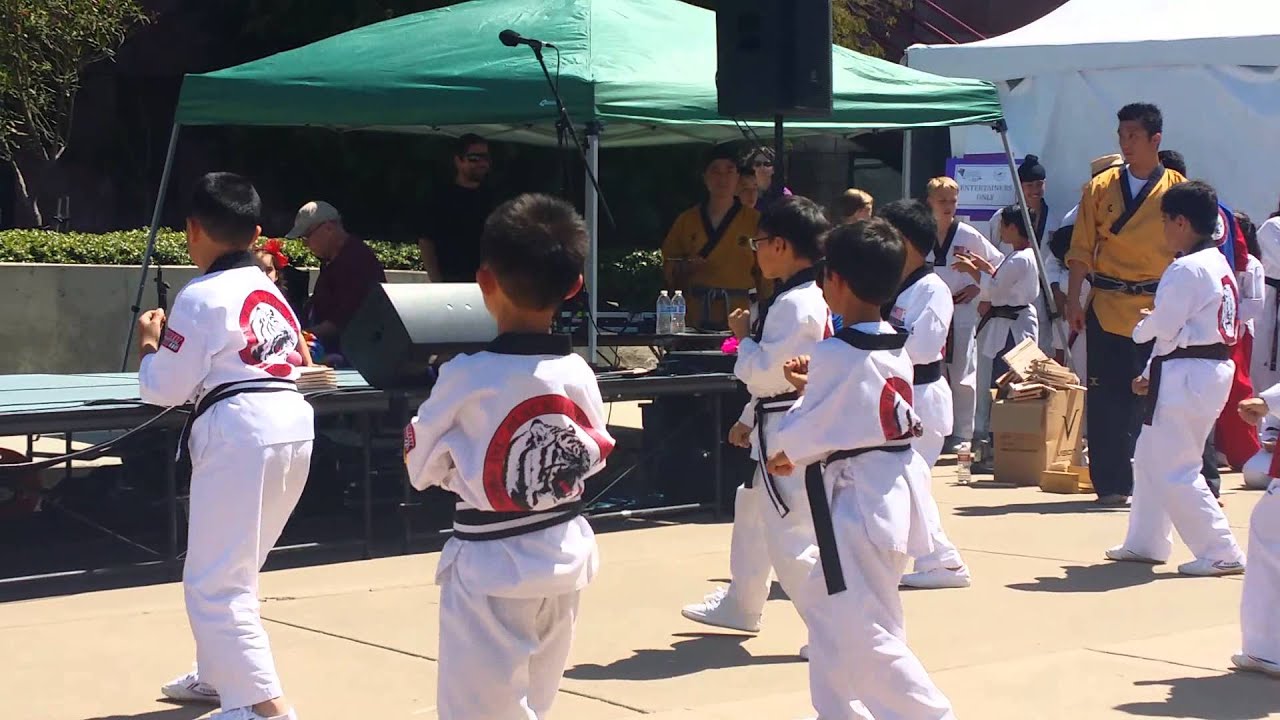 Black tiger TKD demonstration 5/24/2015