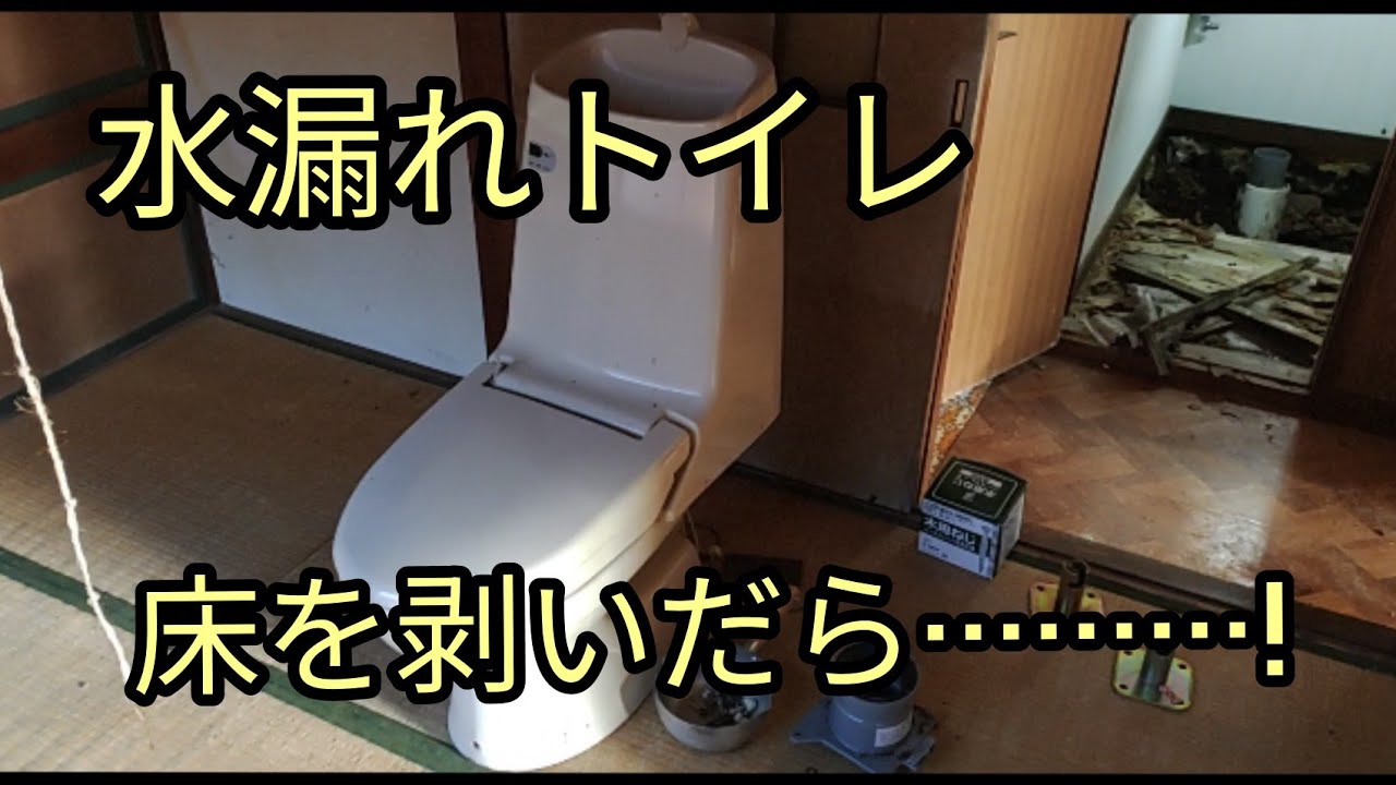 #2【トイレの腐った床張り替え編】100万で買ったボロ一戸建てを一人でDIYリフォームしてみた