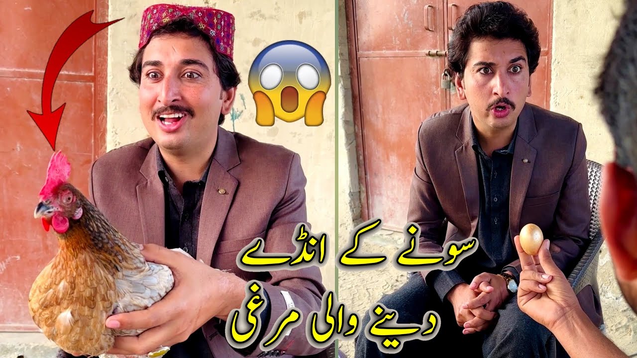 Sony Kay Andy Deny Wali MruGi 😀Funny Short Film