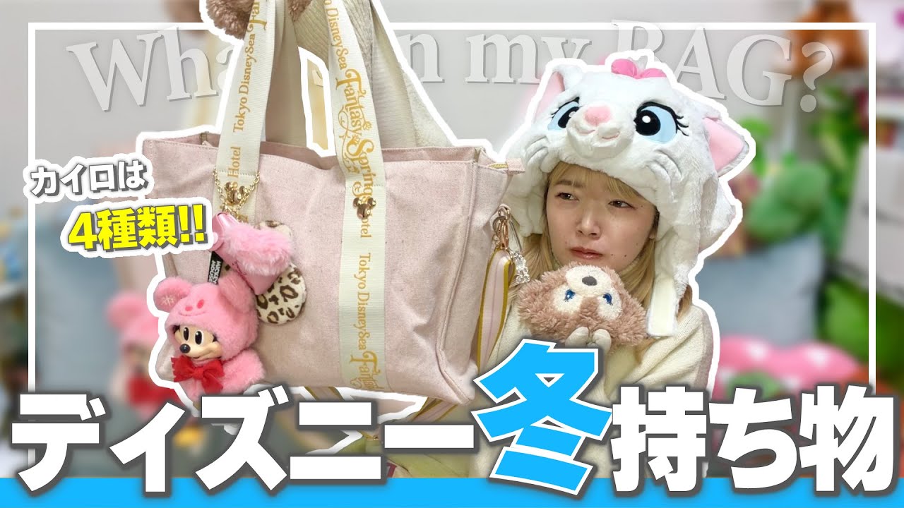 【冬ディズニー持ち物】寒すぎるディズニーを乗り越える 服装＆おすすめアイテム紹介！【カイロは4種類】