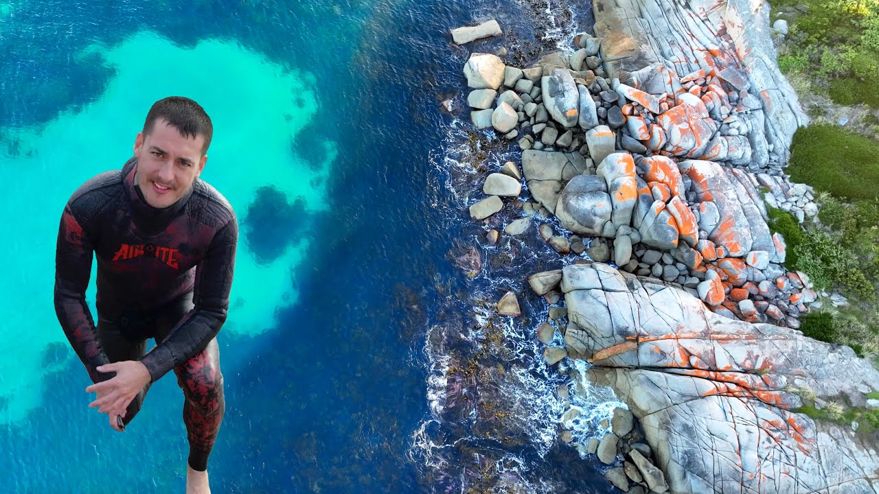 Подводная охота на морских ушек в Тасмании + ловля и приготовление морских ежей в формате 4K