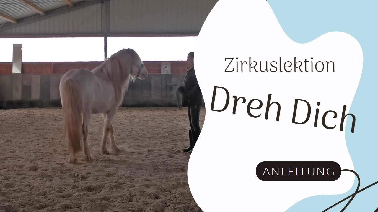 Eine Anleitung f&uuml;r die Zirkuslektion 