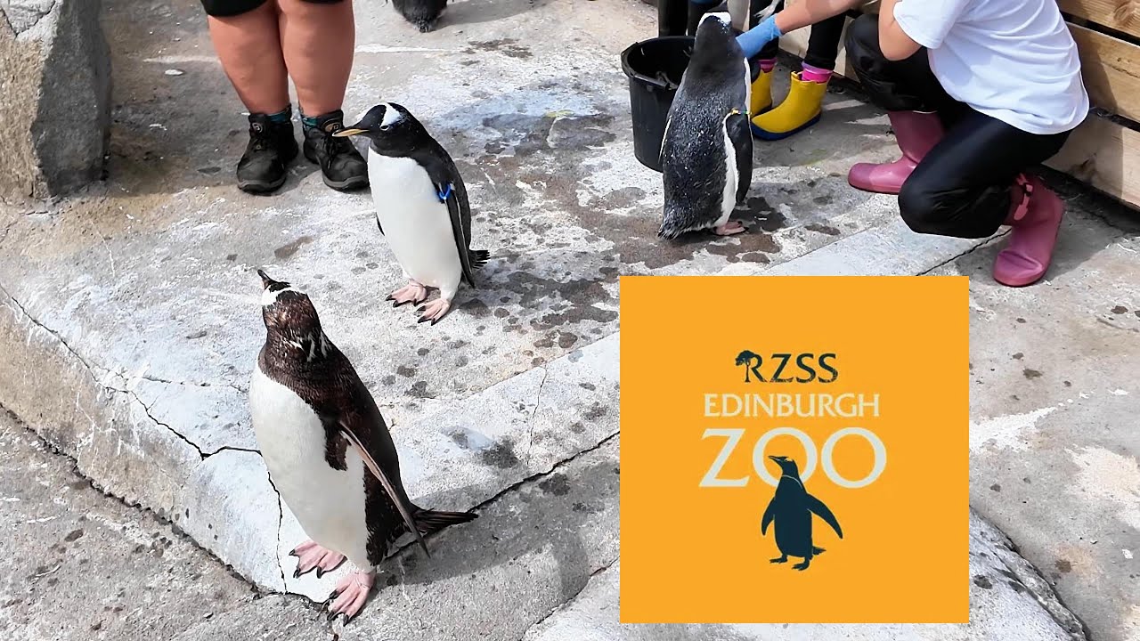 Family Day | Edinburgh Zoo | August 2025