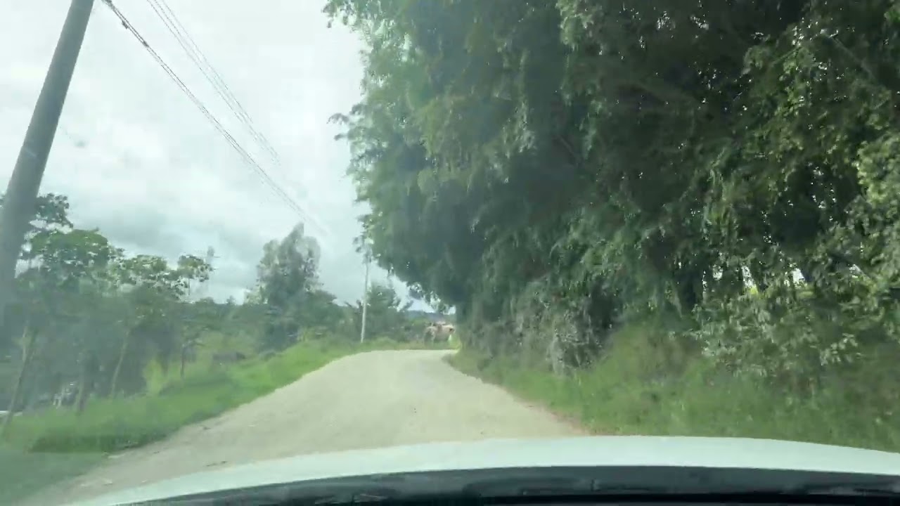 12 de enero de 2026