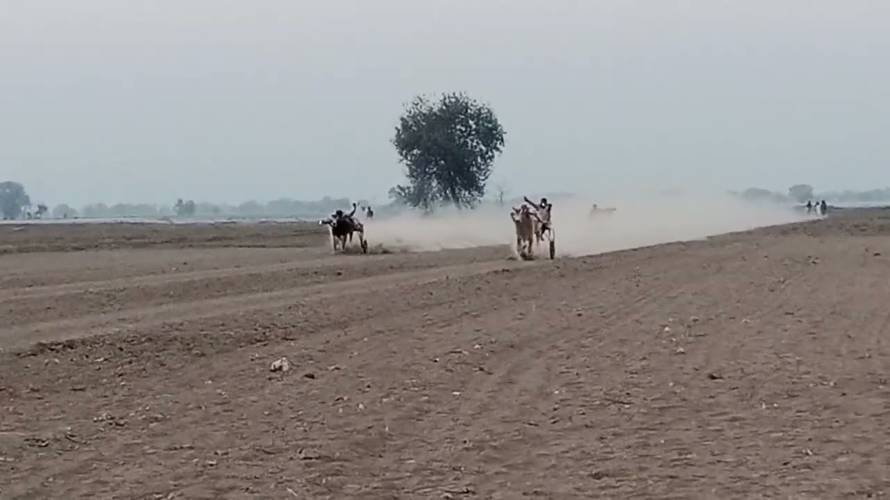 P bahawalpur ka sabse bada Janata 