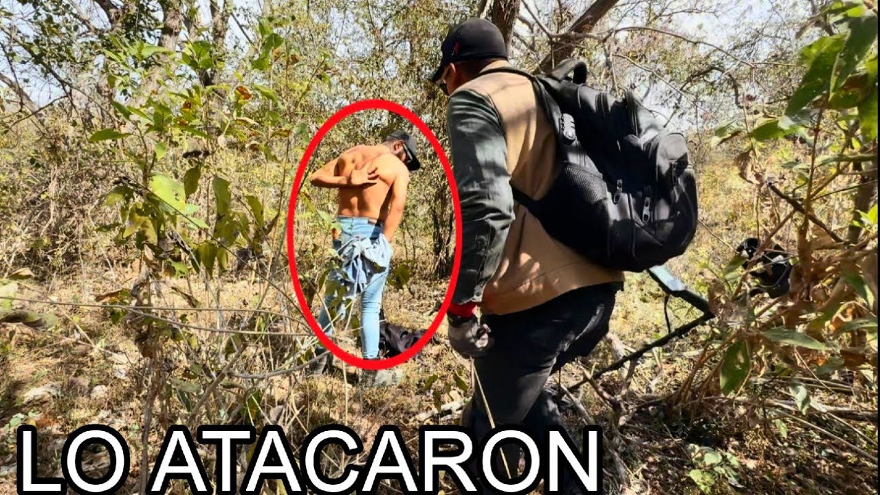 DESCUBRIMOS dinero Por todos LADOS pero jamás se imagino que sería atacado por algo...
