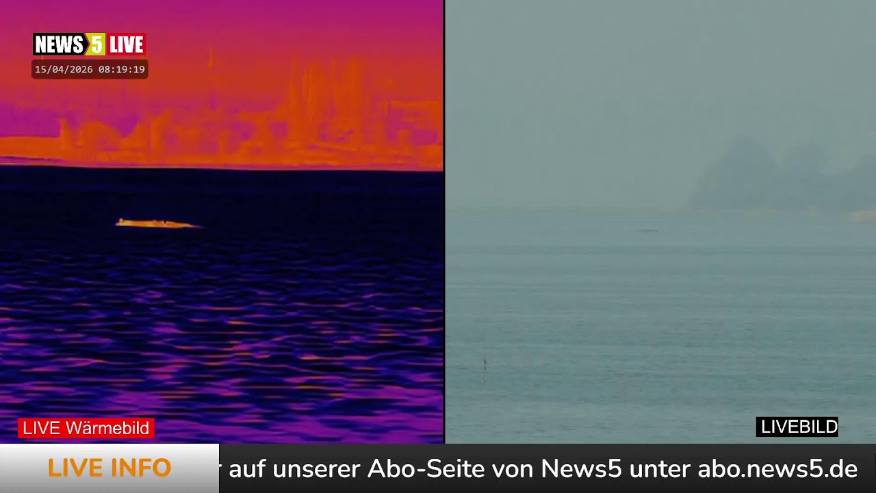 Aufzeichnung: Buckelwal 