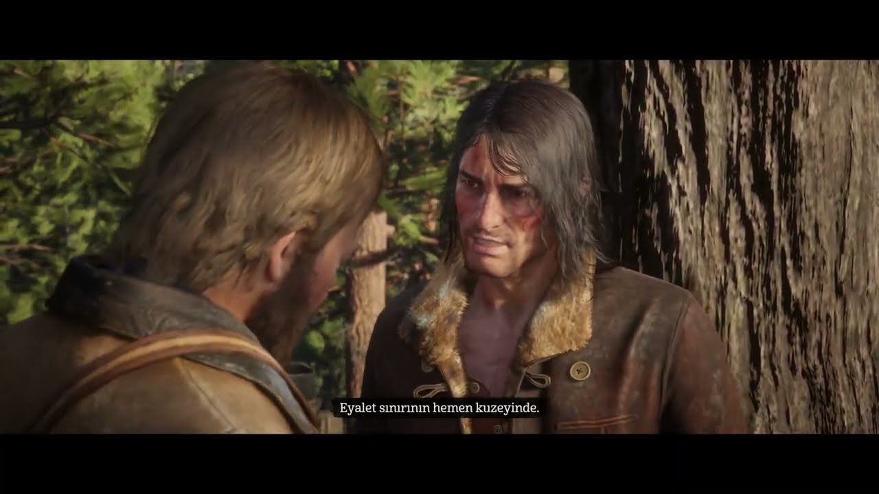 Red Dead Redemption 2  -11