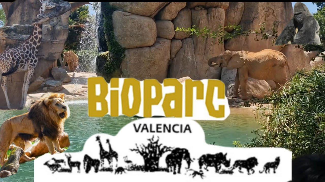 BIOPARC VALENCIA | EID k Dusre Din Gai ZOO #2024 Full Zoo Vlog |  completo del zoológico