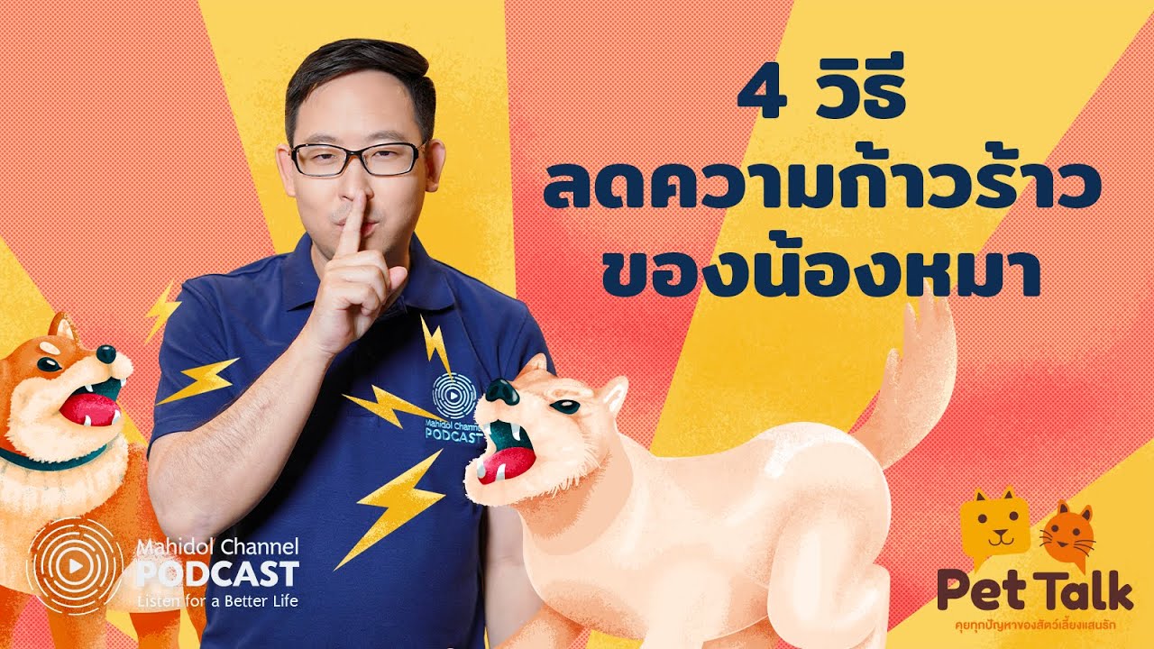 [PODCAST] Pet Talk | EP.3 - 4 วิธีลดความก้าวร้าวของน้องหมา