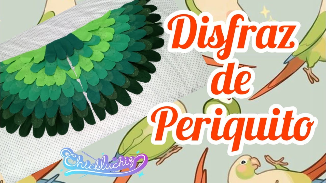 Disfraz de Periquito 