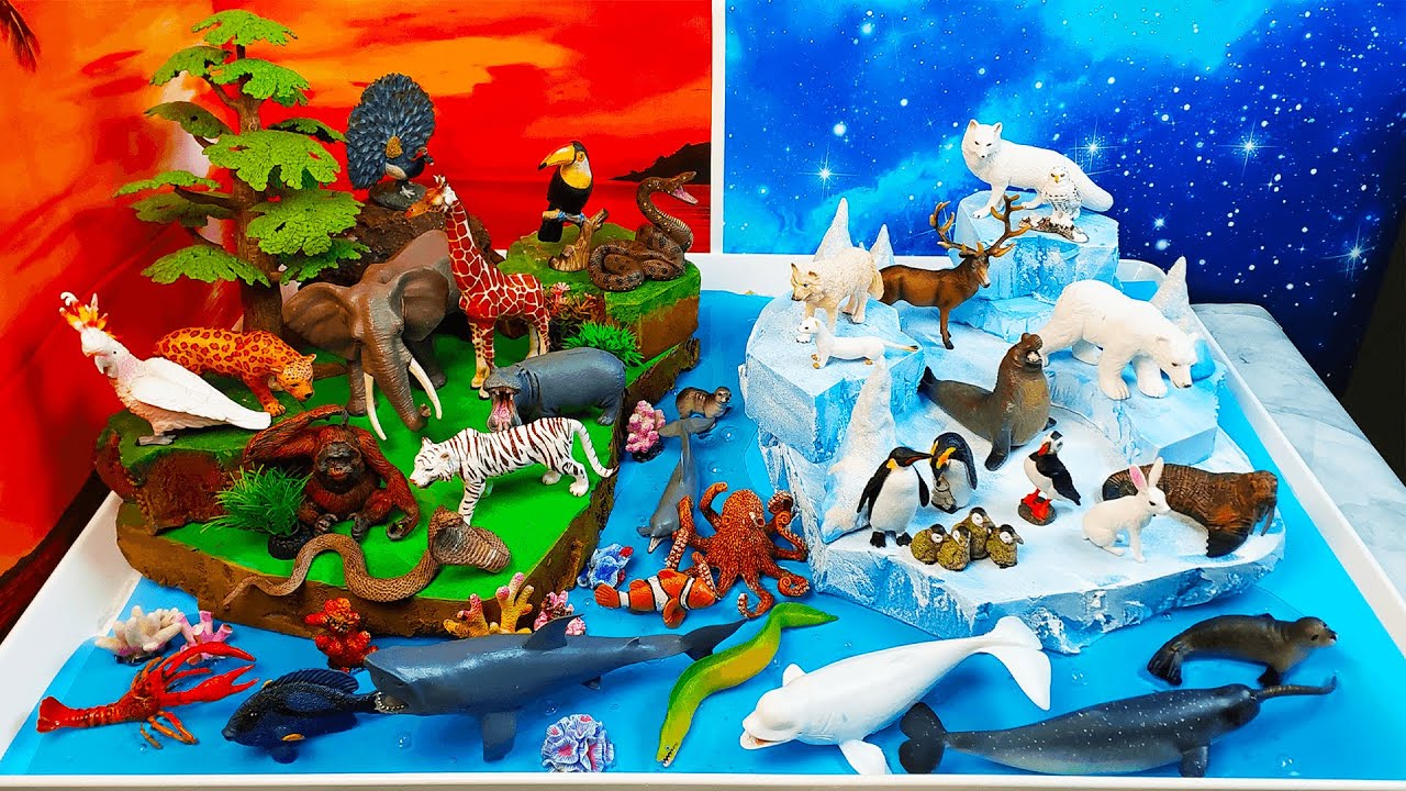 Изучаем названия животных &mdash; полярных и африканских/тропических &mdash; диорама с животными своими рукам...