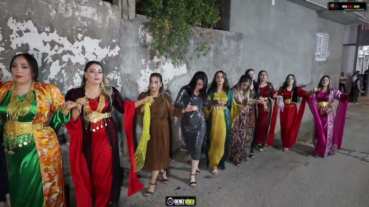 Serhat Torlak Düğünü Part 1 Torlak Ailesinin Düğünü Müzik-Welat Silopi