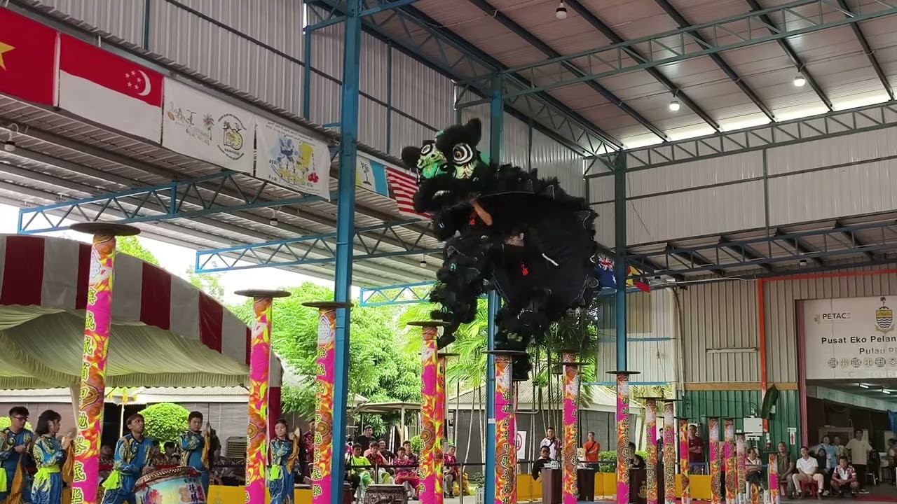 Teck Seng Dragon & Lion Dance吉隆坡德胜龙狮体育会 | 13th Penang Lion Dance Competition 2024