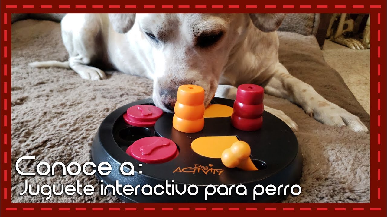 ¡El juguete interactivo que pone a prueba la inteligencia de tu perro! Reseña y recomendaciones