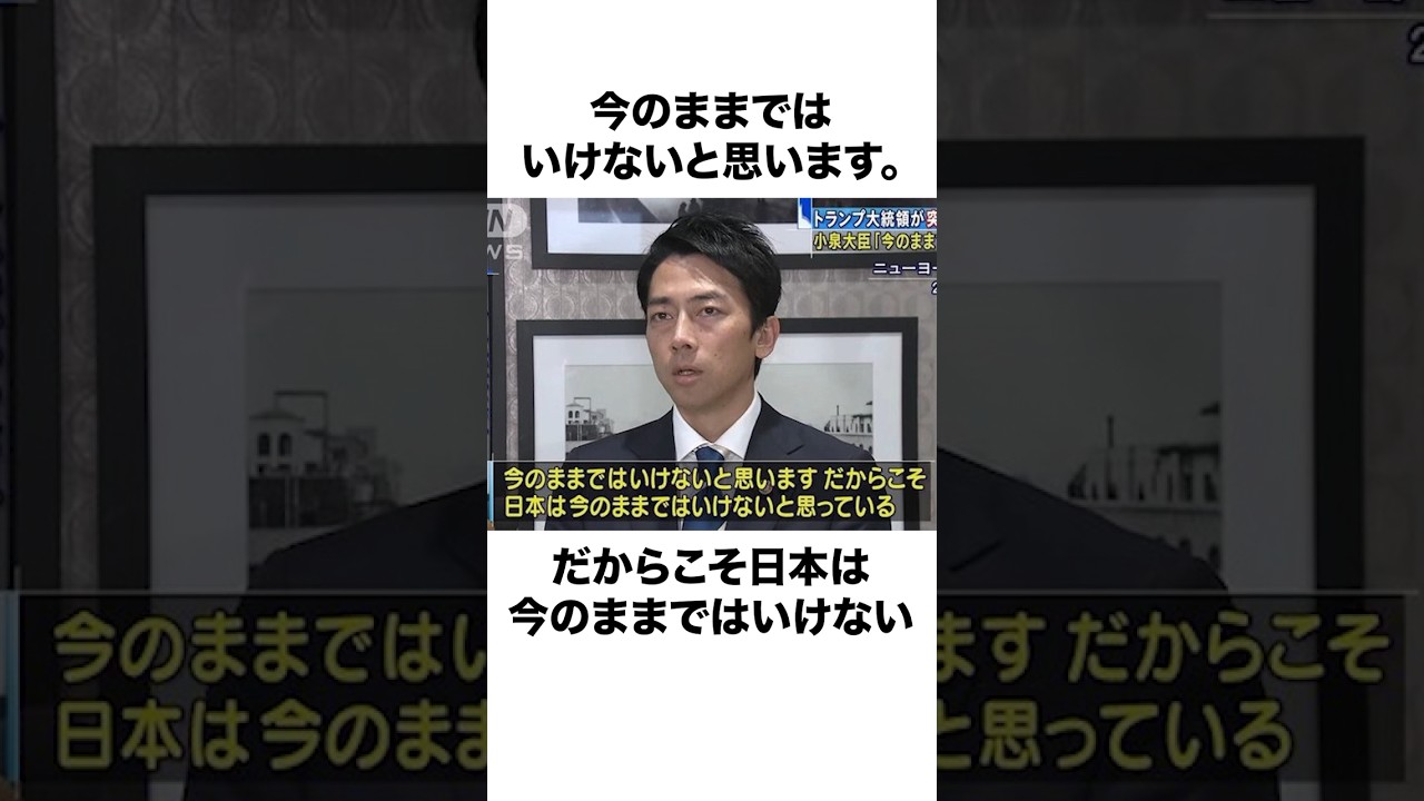 【迷言?】あなたは全て理解できる？【小泉進次郎構文】名作ランキング