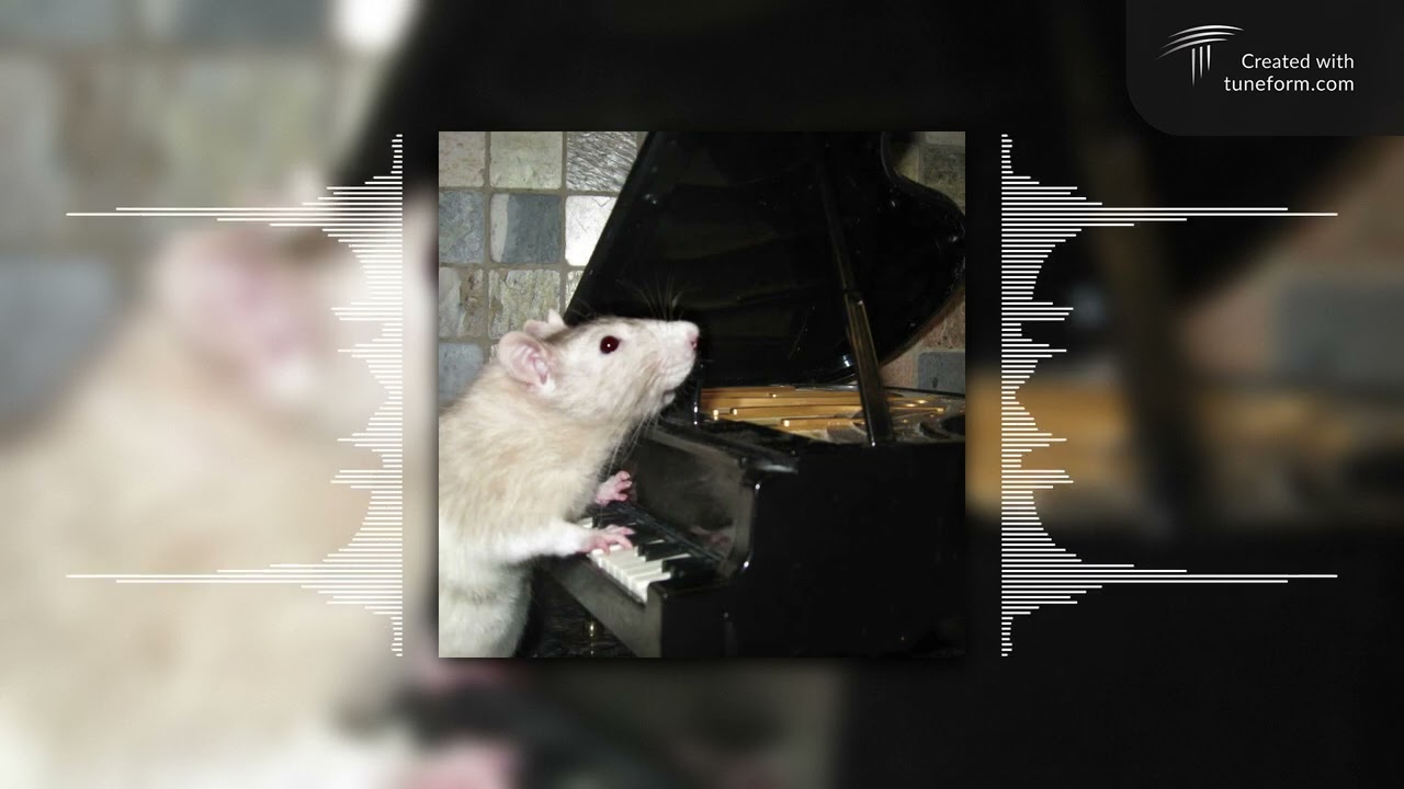 evil rat that took jazz lessons in japan (bossfight)