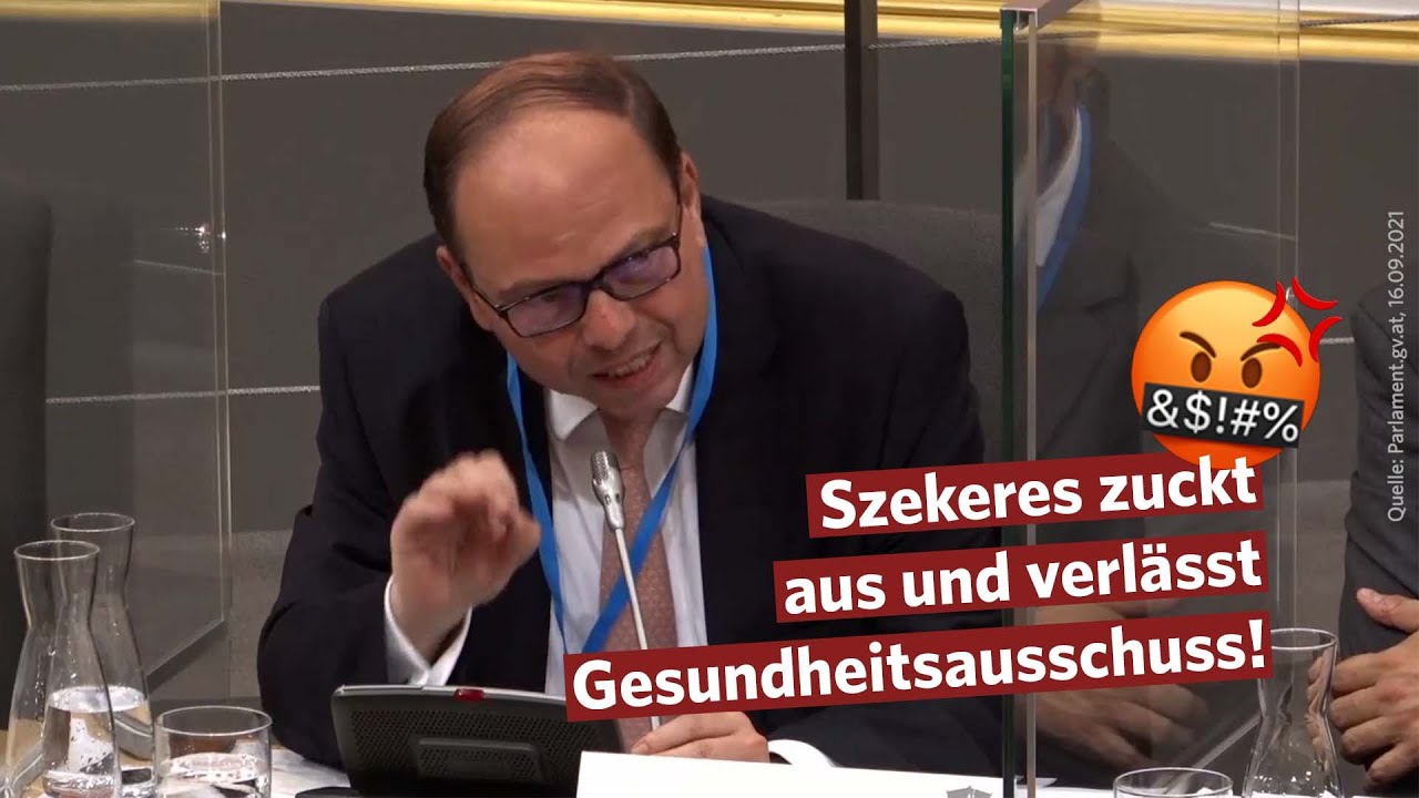 Weil FPÖ die Wahrheit sagte: Ärztekammerpräsident zuckt aus und verlässt Gesundheitsausschuss!