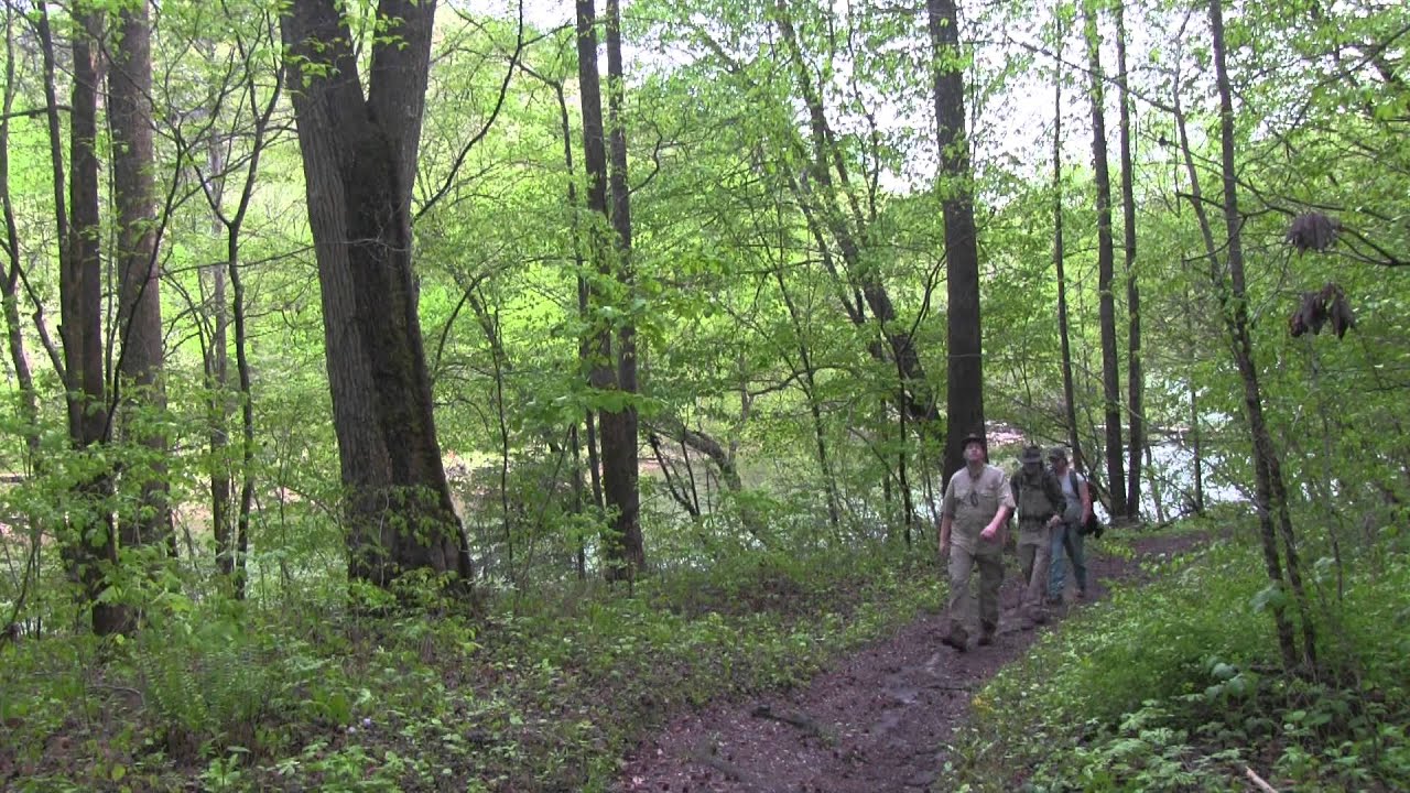 Bushcraft Gathering: Ten Mile Hike, Big South Fork, TN