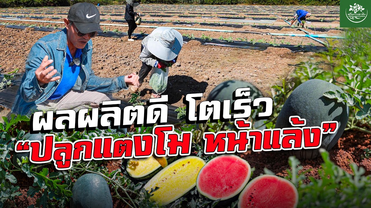 เทคนิค 