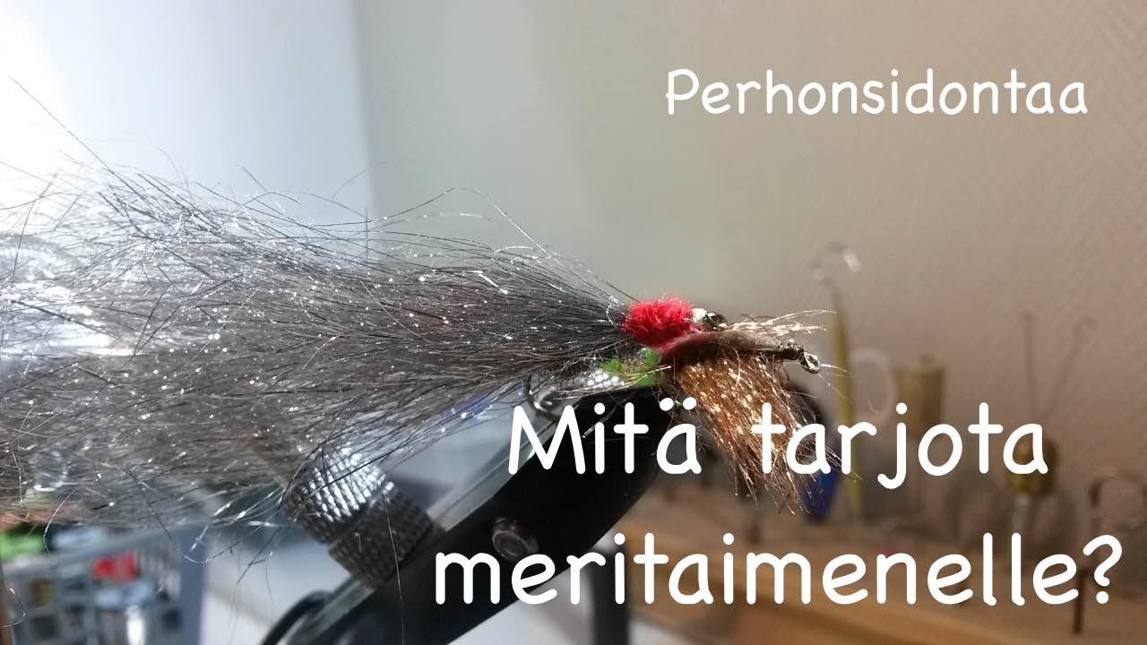 Perhonsidontaa - Mitä tarjota meritaimenelle?