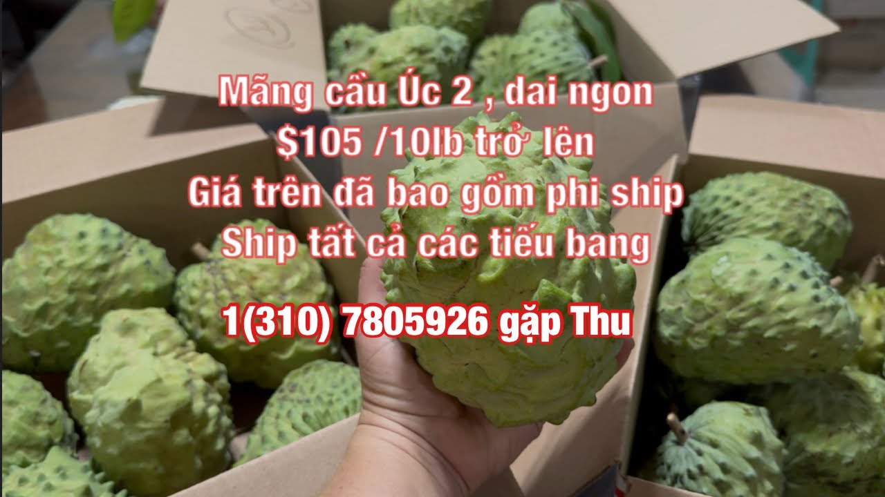 Em ban mãng cầu, giá từ $105 trở lên, đã bao gồm phí ship