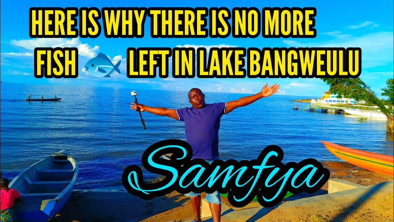 There Is No Fish 🐠🐟 Here In Lake Bangweulu Shores In Samfya