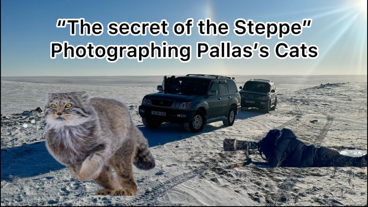 Mongolia Part 2 