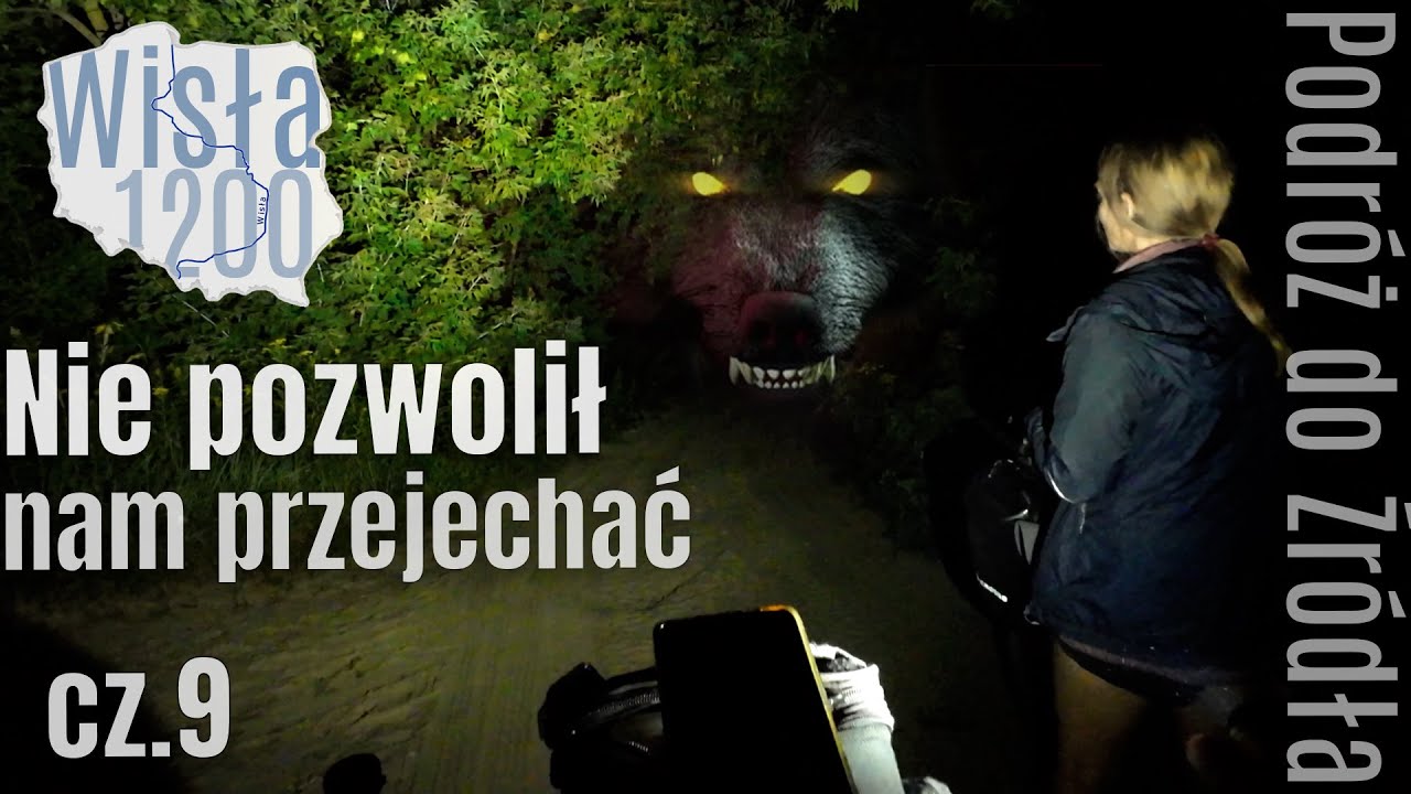 Warczał na nas! - Dzikie zwierzę w lesie - cz. 9 - na Około