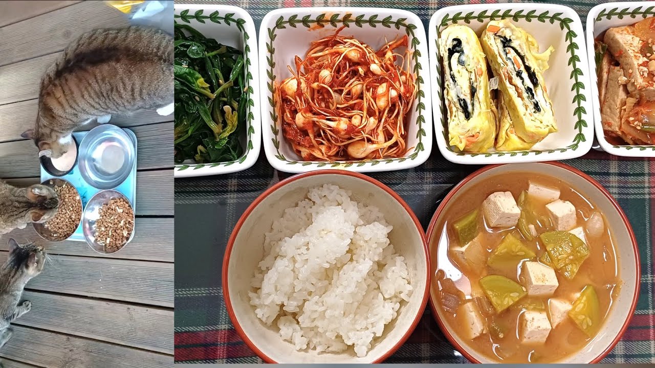 평범한 일상과 집밥 (된장찌개, 시금치무침, 달래무침, 김계란말이, 두부조림), 마당냥이들의 평범한 일상이 행복이다.