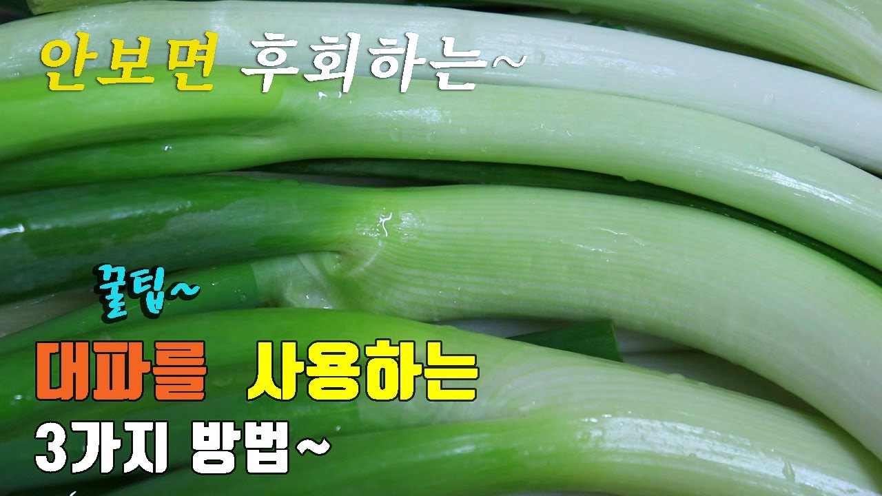 간단하고 맛있는 대파요리 3가지~ 3 kinds of  green onion cooking, korea food recipe [강쉪]