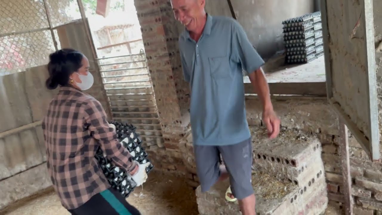 Daily Life at HK Duck Farm | What&rsquo;s Hiding Inside the Duck Coop Today?