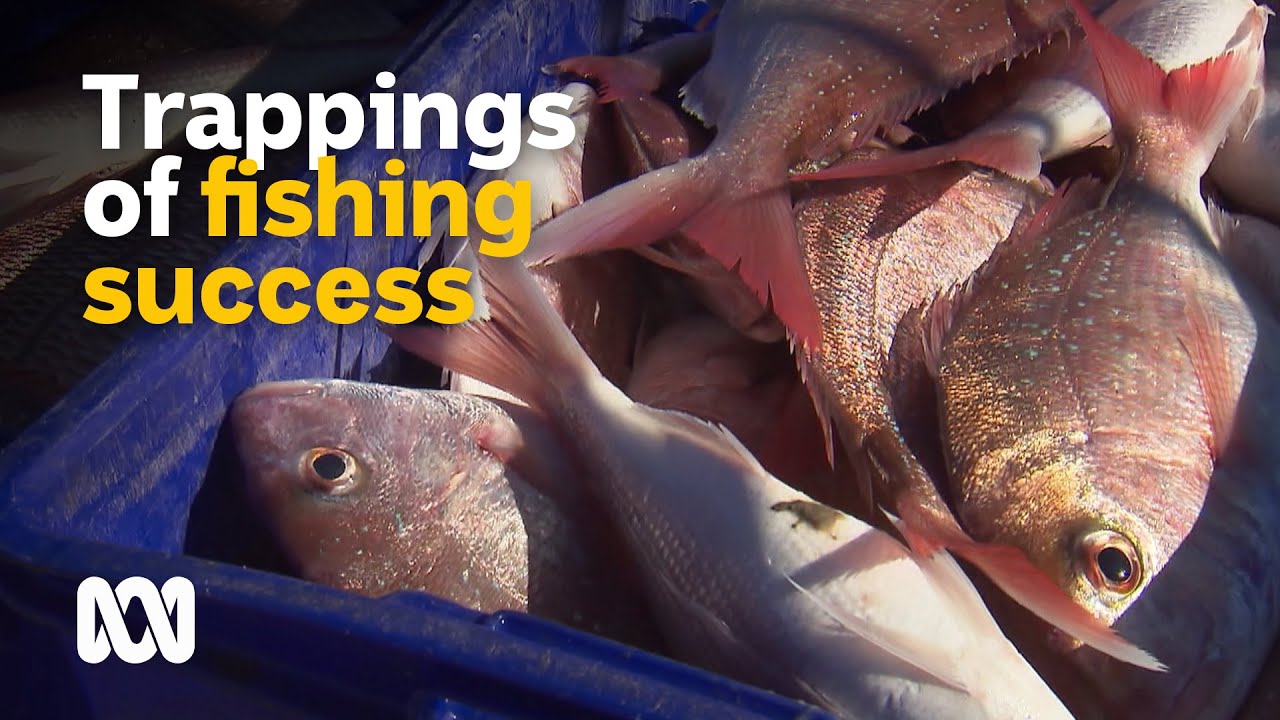 Trappings of professional trap fishing success 🐟 | Landlife | ABC Australia