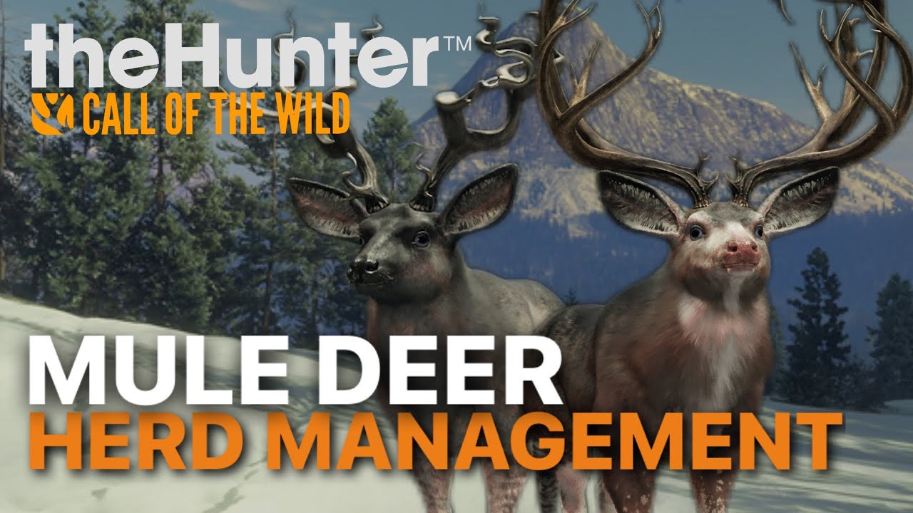 MULE DEER HERD MANAGEMENT GUIDE for The Great One Grind | Askiy Ridge | The Hunter: Call of the Wild